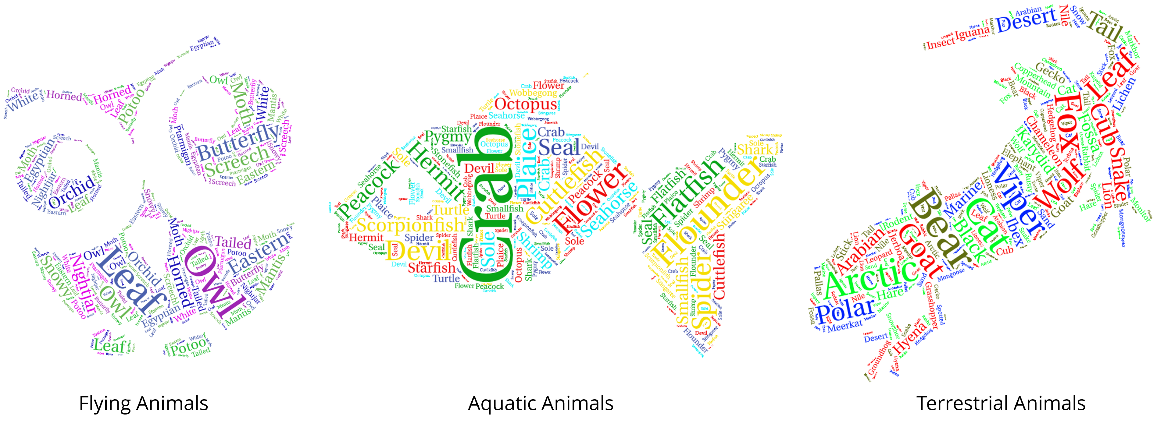 Word cloud of category distribution