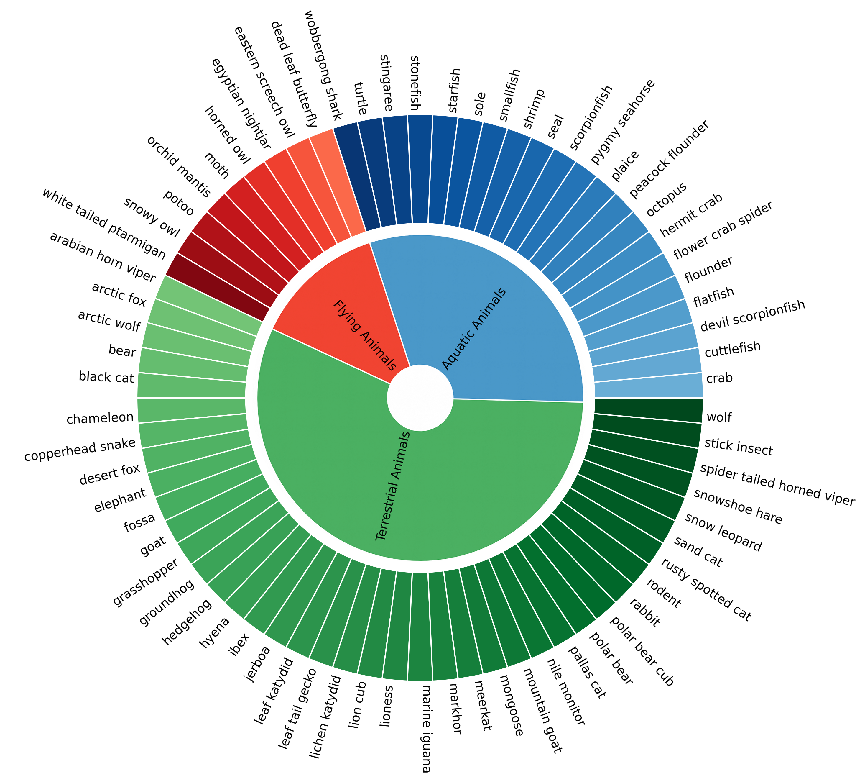 Taxonomic structure radial chart